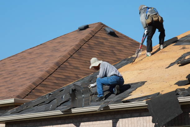 Skylights in Lumberton, MS